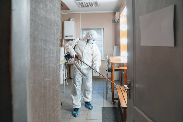 Forensic Mold Investigation in Bridgeport, WA